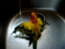 Skyler Takes a bath!