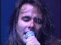 Search Video