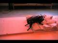 LittleDog Robot