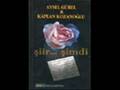 AYSEL-GUREL-ANISINA-