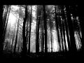 Wolfsthron - Untitled I
