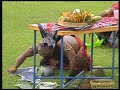 kudho praneso part 6 of 9 kudho praneso part 6 of 9