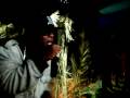 YUNG BOI FRESH & MIC.CONN PERFORMING \"SHE LOVE MY GRILL\" FREE PAGE DA BEAST