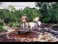 Piatã-Chapada Diamantina (Fox)