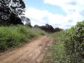 CRF 250X Scudeler