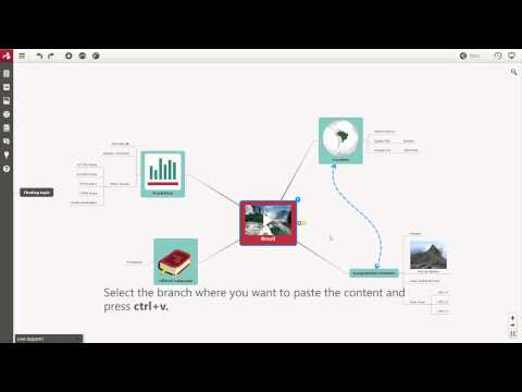 How to copy a branch and its
style