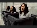 Can't Stop- Red Hot Chili Peppers