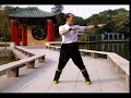 Pan Nam Wing Chun Bil Jee