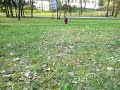 Jej, neřešte že jsme tam vydávali tak úchylné zvuky, ale to prostě při sudech neřešíte :DJo a jak jsem říkal, Sára má velký prsa, takže jí to furt vyboovalo do strany :D