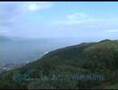家庭菜園動画16