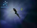 DN Angel 2 (3/3) DN Angel 2 (3/3)