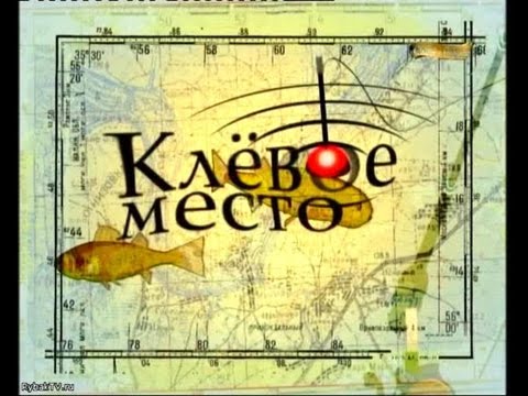 YouTube Трейлер