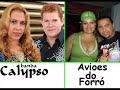 Banda Calypso e Avioes do Forro Vol: 6