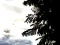دراجات ناريه وحيد فى طرابلس
