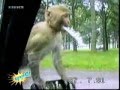 Stupid people and funny bloopers 1