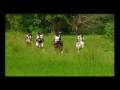 Sri Lanka Tourism imitative on Climate change