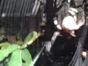 Sconset Spider