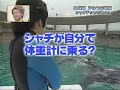 (English sub) Orca\ (English sub) Orca\