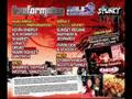 htid in the sun 2007 (darren styles - i need you)