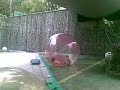 Balloon2