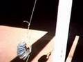 Drop testing ropes - τεστ αντοχής υλικών