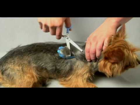 SCAREDY CUT Silent Pet Grooming Kit