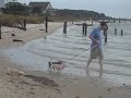 Maggie, Pepe, Lilo & David walking on an Ocracoke sound beach