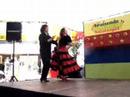 Laura and Fermin Flamenco promotion show