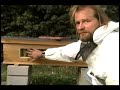 Bees Brood Nest Top Bar Hive