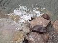 POND CONSTRUCTION CHANG