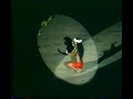 **Ahuura T. Best of the Bests Heiva I Tahiti 1989**