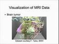 Show Me What's Wrong Inside: Making 3D Medical Data Accessible to Everyone