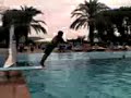 PiscinaLisca