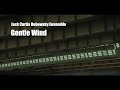 Gentle Wind - Jack Curtis Dubowsky Ensemble
