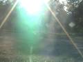 videos de Cole Trotting Undersaddle
