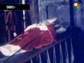 Juan Pablo I . 05 Muerte Natural o asesinato ?