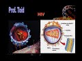 Biologia: V�rus - Parte 03 (Prof. Toid)