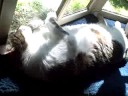 Nap, interrupted
