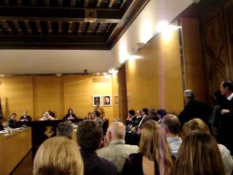 Parlament d'investidura