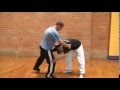 1st Systema Professional Seminar Berlin (Germany)