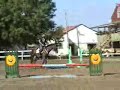 Jumping Jumping