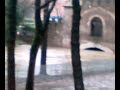 ponte tazio chiuso per l'esondazione dell'aniene alle ore 15:15