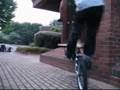 Roy & Mark - Woking Street Nibble