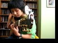 (Don Ross) Blue Bear - Sungha Jung