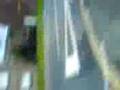 videos de me and pogo being rascist