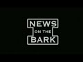 take action: dontclosethebook.nypl.org the new york public library is facing the harshest budget cut in its history.in these tough times they called on an american icon...