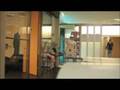 videos de Office Space Plant