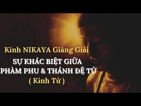 Kinh NIKAYA Giảng Giải - Sự Khác Biệt Giữa Phàm Phu & Thánh Đệ Tử ( Kinh Từ )