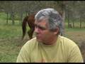 mark mcmurtrie aboriginal sovereignty british legal scam 1