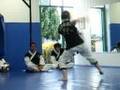 Hapkido Gee Ki Hyung Sae